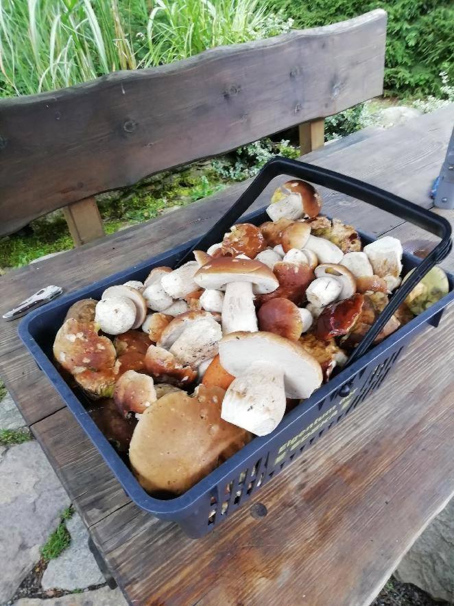 Chata Venda Lipno nad Vltavou Zewnętrze zdjęcie