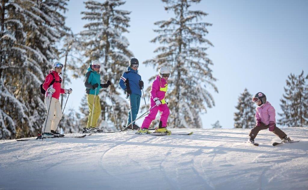 Chata Venda Lipno nad Vltavou Zewnętrze zdjęcie